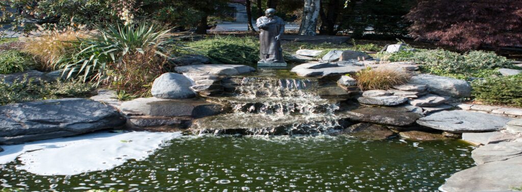 PC Koi Pond
